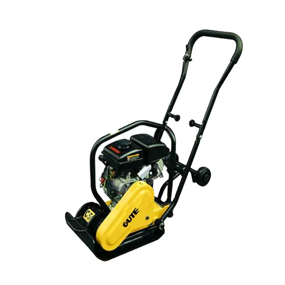 Plate Compactor Vibrator - Compacteur électrique/à plaques vibrantes/à batteur vibrant